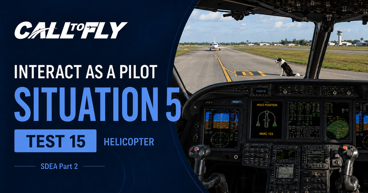 Helicopter cockpit taxiing at Salvador Airport with a loose dog near taxiway Bravo in Interact as a Pilot Situation 5 Test 15.